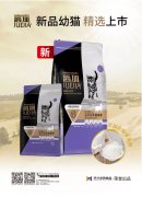 爵加新品幼貓精選上市！