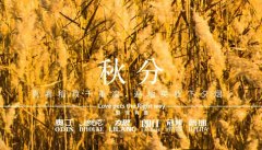 秋分丨晝夜分畫，漸入秋華
