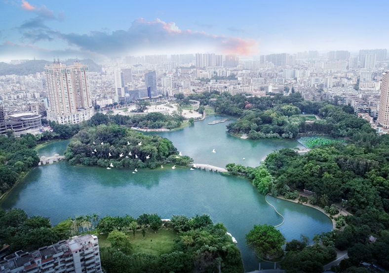 “水下森林”景觀，擦亮綠色低碳城市名片